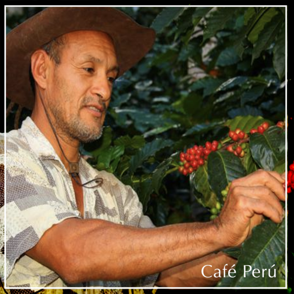 Café Perú Cajamarca